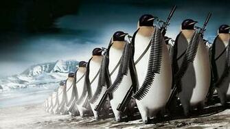 Penguin Photos Wallpaper Ololoshenka Full HD Desktop