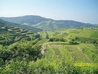 French Countryside And Vineyards Oberried Germany Photo By