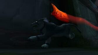 Feral Druid Wallpaper