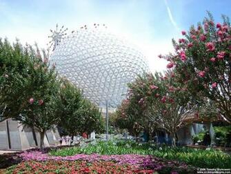 Disney World Epcot Desktop Wallpaper X Kicking Designs