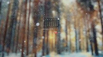 January Is Always Cold But If You Squint Just So Even A Bleak Winter
