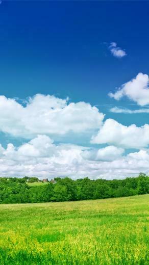 Summer Scenery iPhone 5s Wallpaper iPad