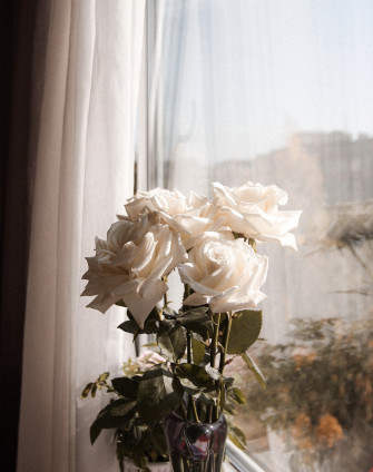 30k White Roses Pictures Image