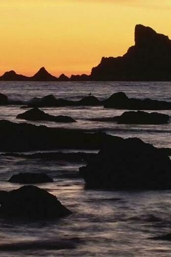 National Park Beach Washington iPhone Wallpaper