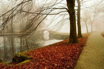 Beautiful Autumn Wallpaper For Desktop Background HD