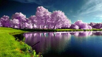 New Nature Spring Wallpaper
