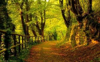 Cute Autumn Wallpaper