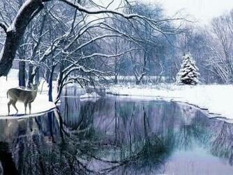 Winter Wonderland Wallpaper For Computer