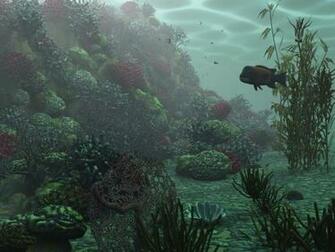 All Desktop S Wallpaper 3d Deep Underwater