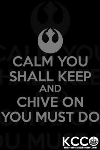 Kcco Bill Murray Vector iPhone 4s