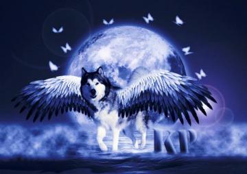Wolf Fly Home