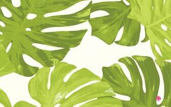 Palm Leaf Desktop Background Wallpaper In Kate