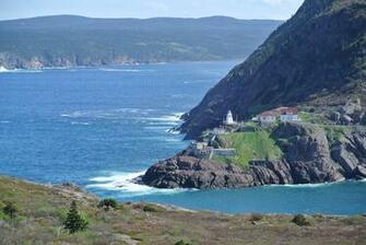 Newfoundland Computer Wallpaper
