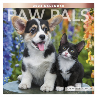Paw Pals Wall Calendar Kitten And Puppy Photography White