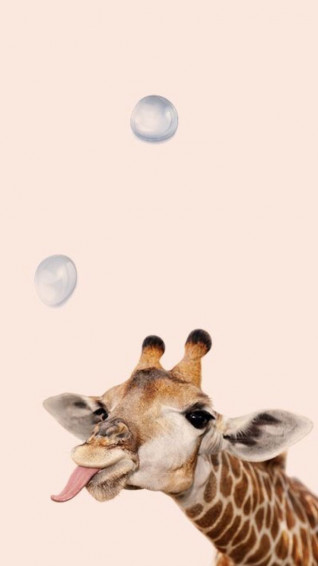 Aesthetic Animals Wallpaper Top