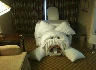 Nice Image Wallpaper Funny Hotel Pranks