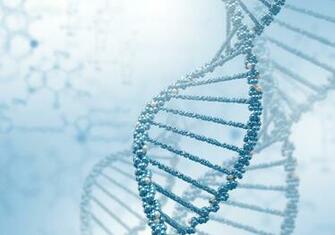 Dna Double Helix Wallpaper The Personal Code