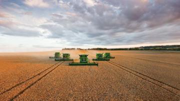 Farming Background Net