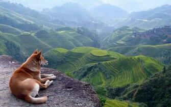 Meditation Is A Balancing Act Between Attention And Relaxation