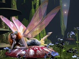 Butterfly Fantasy Wallpaper Art Anime