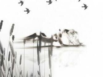Information About White 3d Or Even Videos Related To