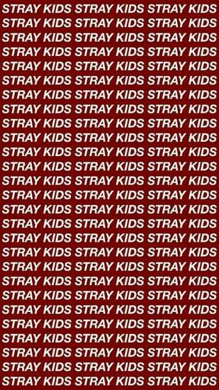 Best Stray Kids Wallpaper Image