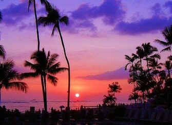 Sunset In Summer Mobile Wallpaper