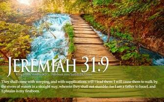 Bible Verses About Love