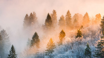 Best Winter Instagram Captions And Cute Cold Weather Sayings