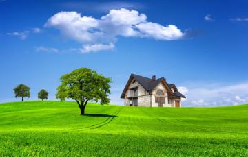Wallpaper Field Summer The Sky Grass Clouds Trees Landscape