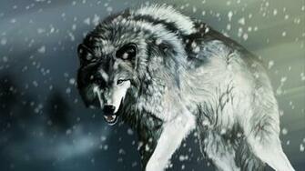 White Wolf Wallpaper HD In Animals Imageci