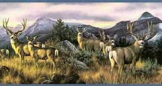 Mule Deer Wallpaper Border Wg0354bd