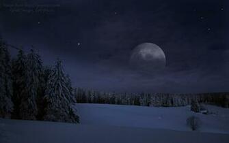 Snowflake Pack Image Winter Forest At Night HD Wallpaper And