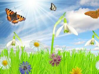 Happy Spring Desktop Pc And Mac Wallpaper