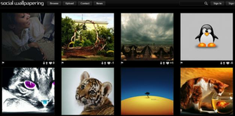 Social Wallpapering Wallpaper Site