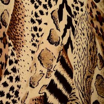 Background Safari Stock Photo Public Domain Pictures