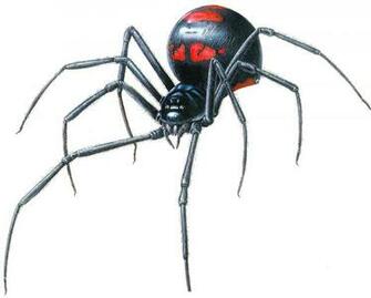 Black Widow