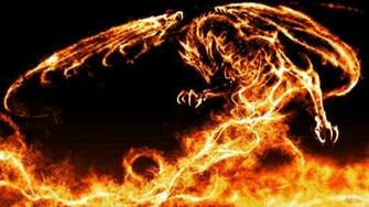 Dragon Fire Awesome Wallpaper Amazing Wallpaperz