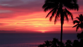 Sunset Wallpaper