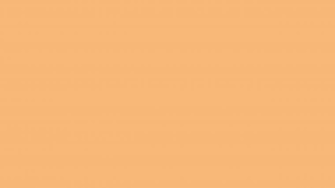 Mellow Apricot Solid Color Background Wallpaper