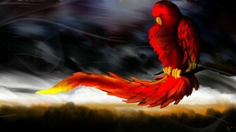 HD Wallpaper Background 3d Cool Top Image