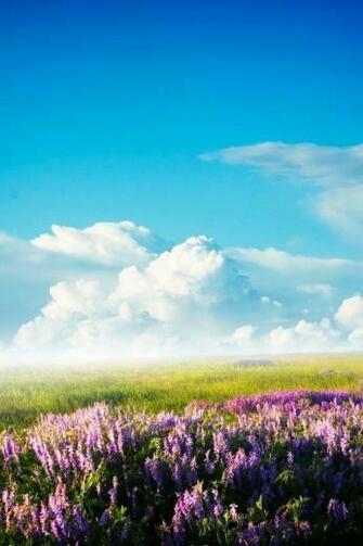 Beautiful Scenery Phone Wallpaper The Most Stunning Shots Of Nature