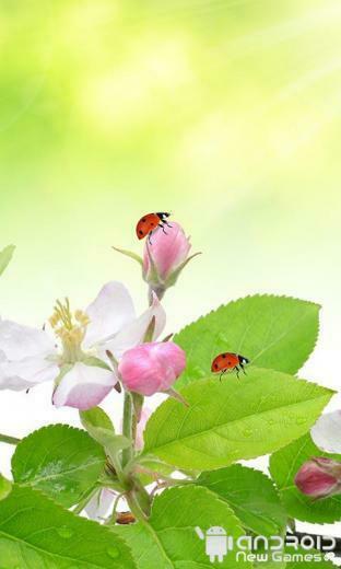 Spring Live Wallpaper Androidnewgames Ru
