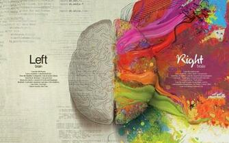 Anatomy HD Wallpaper Background