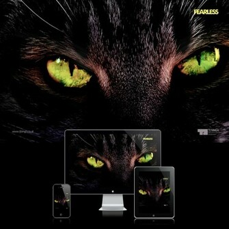 Fearless HD Wallpaper By Tj Singh
