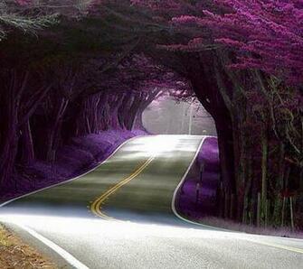 Nature Wallpaper Background