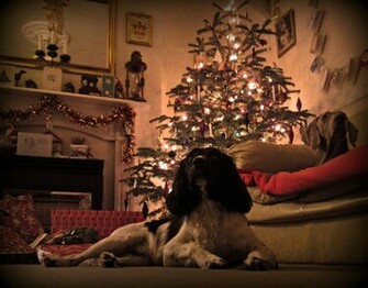 The Night Before Christmas Wallpaper