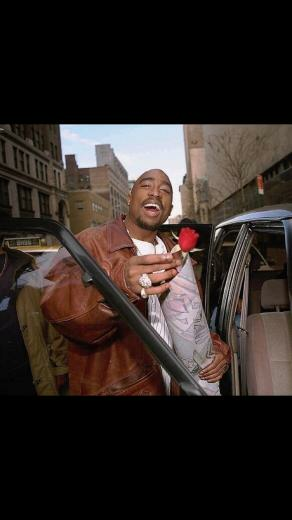 The Rose That Grew From Concrete A City Girls Big Texas