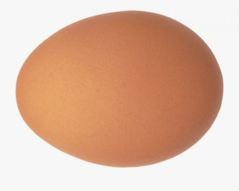 Relevant Image By Cat Clipart Transparent Background Egg With