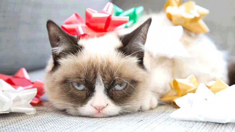 Or Grumpy Cat There S Nothing Wonderful About This Time Of The Year